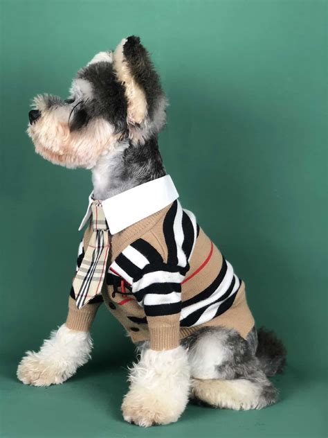 Premium Dog Clothes & Dog Accessories 